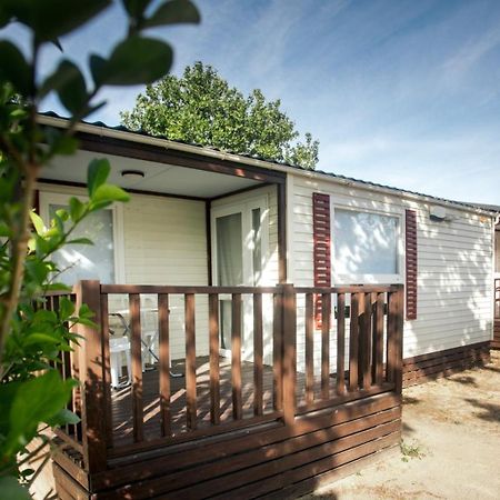 Bungalows Zaragoza Camping Exteriör bild